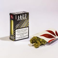 Swissbreeders 1602 Kanada Greenhouse 2g