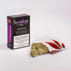 Swissbreeders-Sauvage-CharlottesWeb-Indoor-2g_120dpi_2018.05