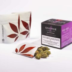 Swissbreeders-Sauvage-CharlottesWeb-Indoor-MultiPack-6g_120dpi_2018.05